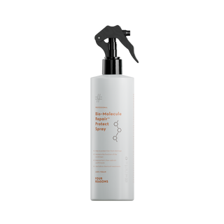 Professional | Bio-Molecule Repair Protect Spray