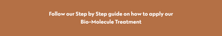 A solid brown banner with centered white text reading, 'Follow our Step by Step guide on how to apply our Bio-Molecule Treatment.'.
